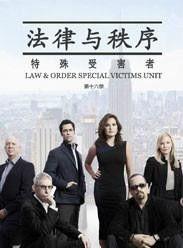法律与秩序：特殊受害者 第十六季,特殊受害者，正义与挑战的交织